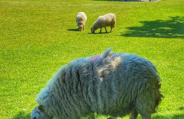 Catch of the Day - Foto 31