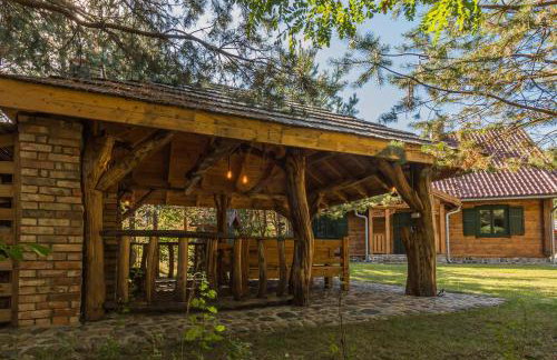 Willa Zielona Jabłonka - Foto 23