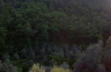 Appartamento Ferla La Taggiasca - Foto 20