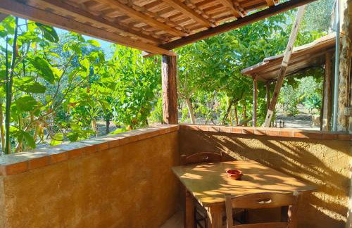 Agriturismo Casa del Contadino - Photo 4