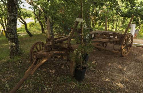 Luxury Villa Četiri Hrasta - Foto 24