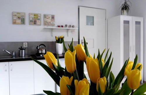 Zielone Zacisze - Foto 41