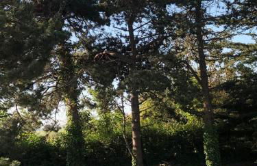 Chalet de vacances au bord de mer VER SUR MER - Foto 29