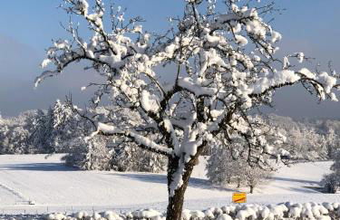 Ferienwohnung Aubach - Foto 14