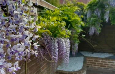 Studio Mer & Aa-terrasse-jardin-WIFI-parking-classé 3 étoiles - Foto 54