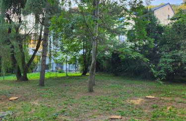 CRBN Di SJK28 - Foto 6