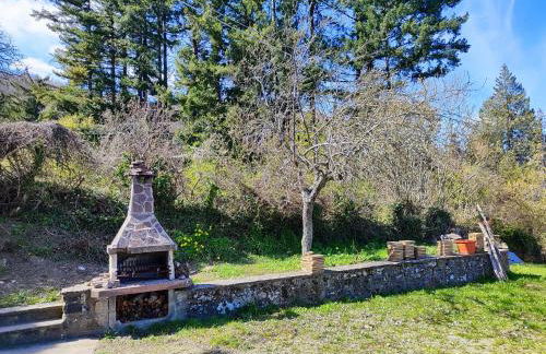 Casa Marina - Photo 6