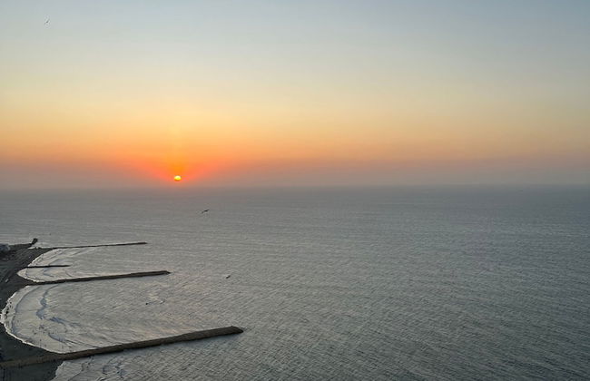 Palmetto Penthouse Deluxe Beautiful View and Sunset Floor 39 - Photo 23