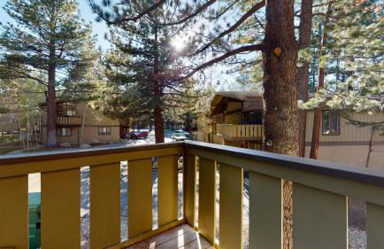 Chateau De Montagne #23 Condo - Foto 25