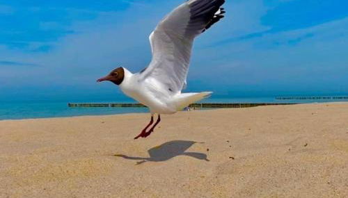 Ferienwohnung zur Kühlung - Foto 2