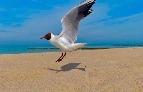 Ferienwohnung zur Kühlung - Foto 2