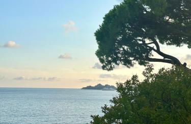 Giardino in villa Margherita - Foto 39