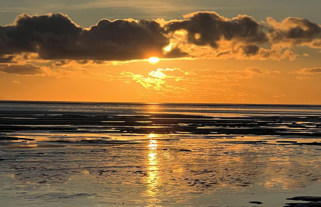 Clouded Yellow - Beautiful Modern Lodge, Kippford - Photo 21