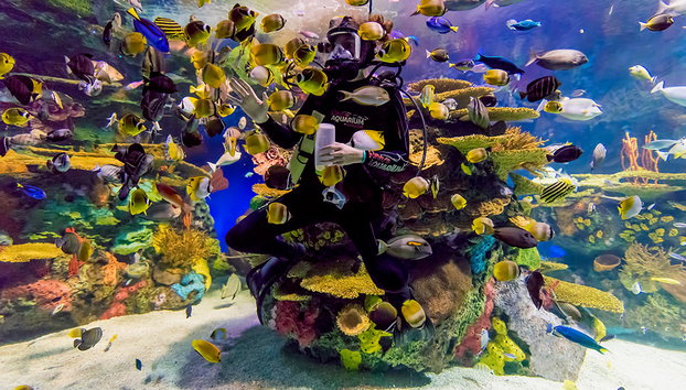 Acquario di Ripley del Canada - Foto 4