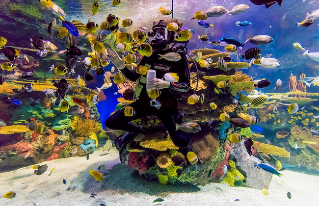 Acquario di Ripley del Canada - Foto 4