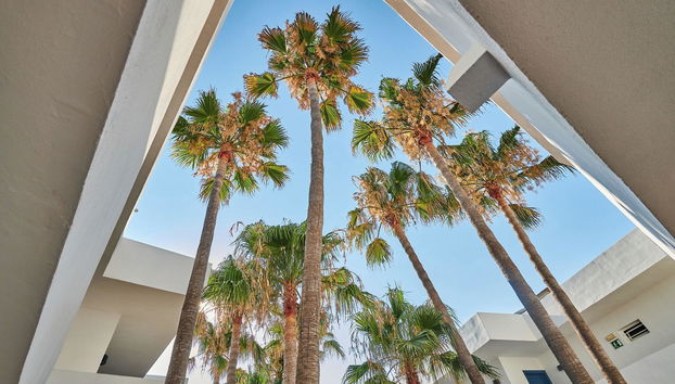 Hipotels Cala Bona Club - Foto 5