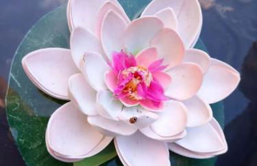 Le Giare House - Photo 58