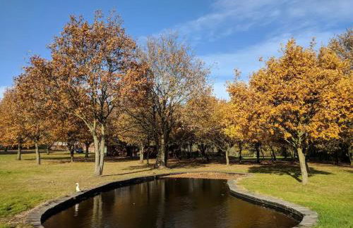 Countryside Cabin on 5 Acres Countryside with Outdoor Firepit, Cinema and converted Stables - Foto 47