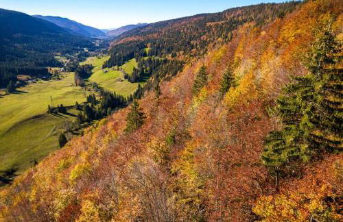 Montagne - Vue Pistes Rando VTT - Foto 14