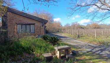 La pietra lavica - Foto 1, Garden view