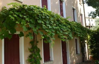 Agriturismo Ca Roer appartamento 4 - Foto 8