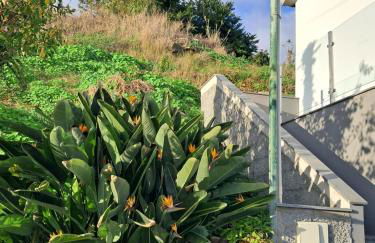 Casa Noronha 1 - Foto 10