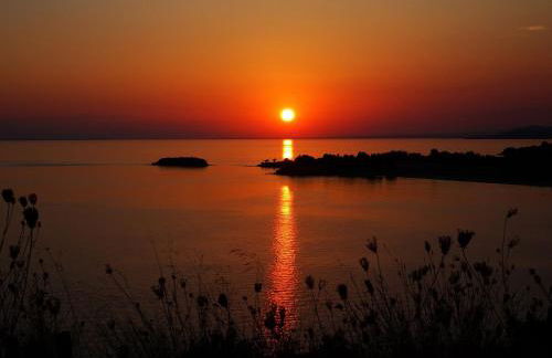 Alegria Suites - Foto 51