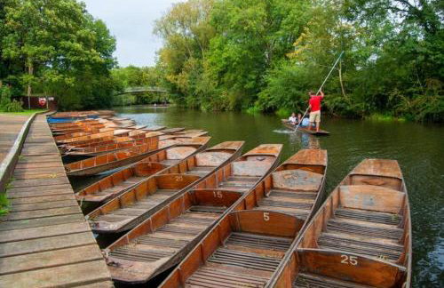 Lovely two Bedroom Flat, Fernhill Court North Oxford - Foto 14