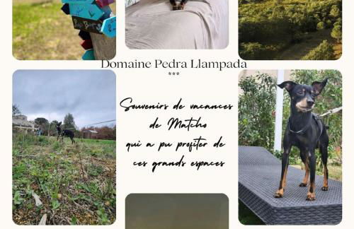 Domaine Pedra Llampada Gîtes Montagne - Photo 23