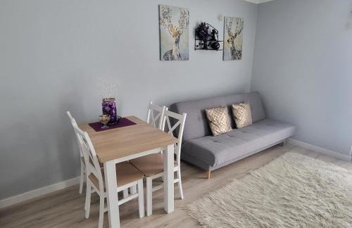 Apartament Twoja Chwila - Foto 12