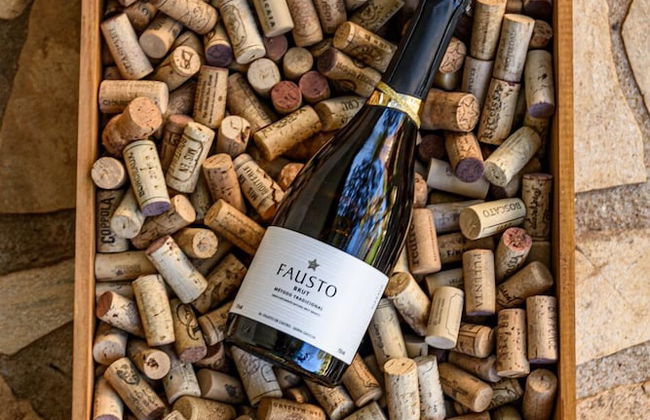 Hotel Recanto da Cachoeira - Foto 36