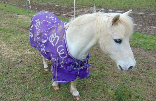 Uphill Manor - Foto 36