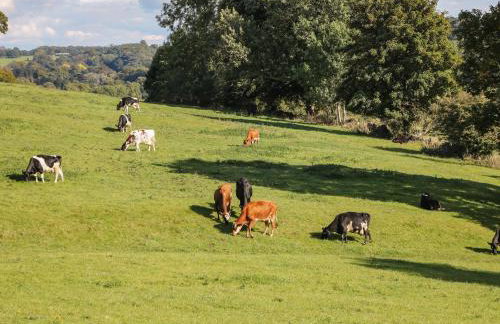 Orchard Cottage - Foto 33