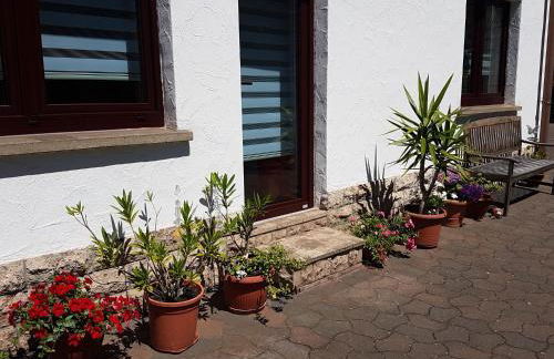 Ferienwohnung am Rennsteig bei Eisenach - Ilona Schmidt - Foto 15