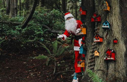 Perch - Ellie's Secret Cabin - Foto 63