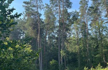 Nature Home Rybical - Foto 68