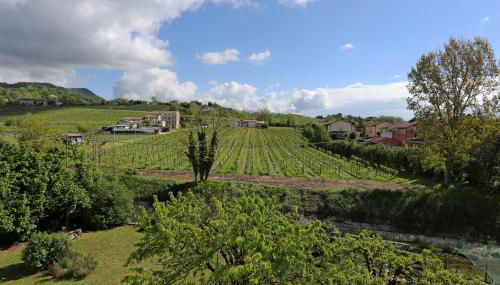 Locazione turistica Gravetta - Foto 2, Garden view