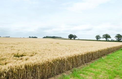 Owl Cottage - Foto 26