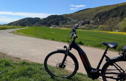 Ferienhaus Pauline am Glan - Foto 39