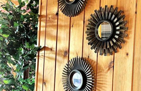 Snowdrop 10-Hot Tub-Woodlandlodges-St Clears-Pembrokeshire - Foto 8