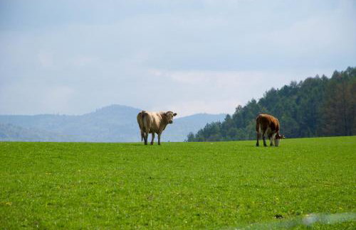 Apartament Nad Potokiem - Foto 40