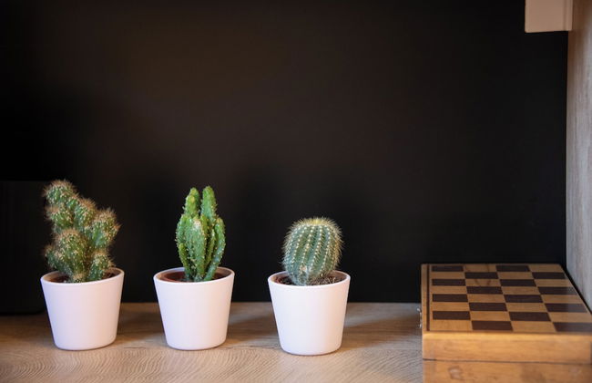 Selamare Apartment - Photo 37