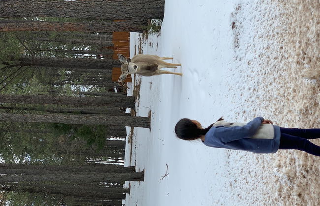 North Wind Condo - Foto 17