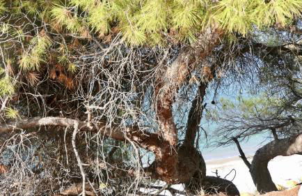 Casa del Mar - Foto 55