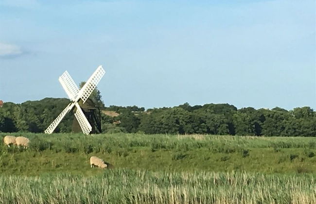 Moray Beachside Apartments - Foto 24