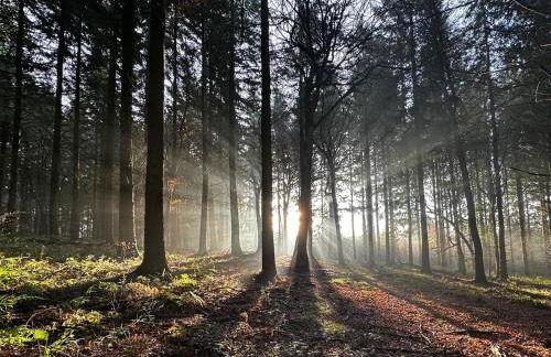 Holly Cottage - Foto 41