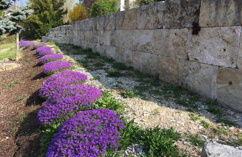 Ferienwohnung Drei Burgen Blick - Foto 18