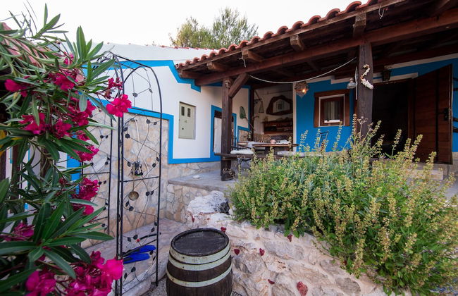 Victorious VIScovery Yellow - Foto 42