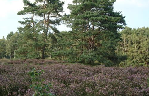 Strandlust II - Foto 65