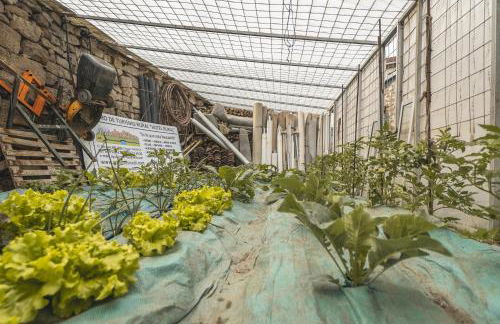 Amontes Rural - Foto 33